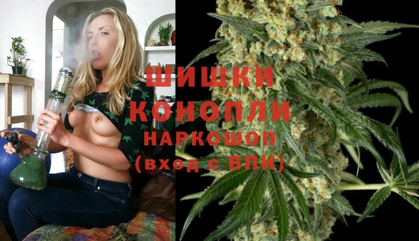 ешки Бронницы