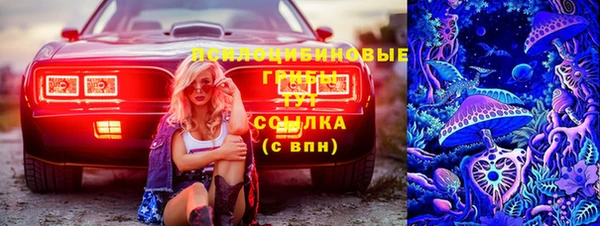 дмт Бугульма