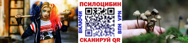 Купить где  Порхов  Псилоцибиновые грибы прущие грибы 